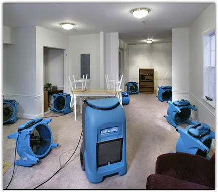 Drying & Dehumidification in Troy, IL