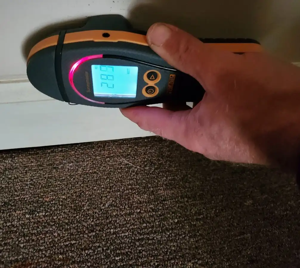 Moisture detection at baseboard during Mold Inspection & Testing in Troy